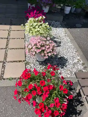 伊達神社(北海道)