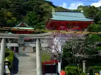 赤間神宮(山口県)