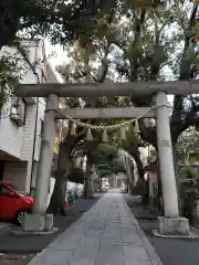 中野氷川神社の鳥居