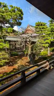 大覚寺(京都府)