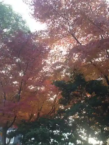 宝珠山　観泉寺の自然