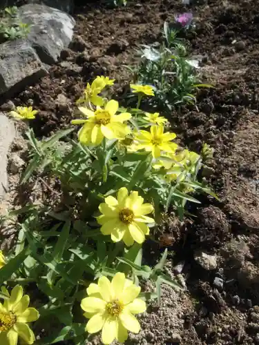 大鏑神社の自然