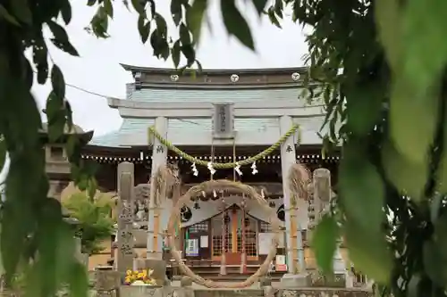 熊野福藏神社の鳥居