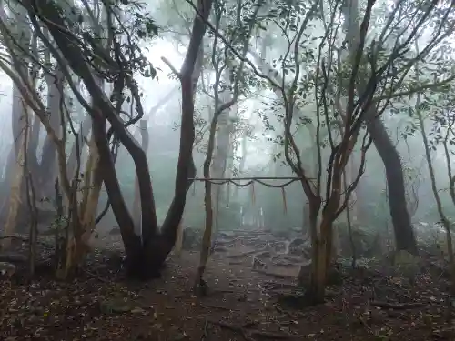 立石神社の本殿・本堂