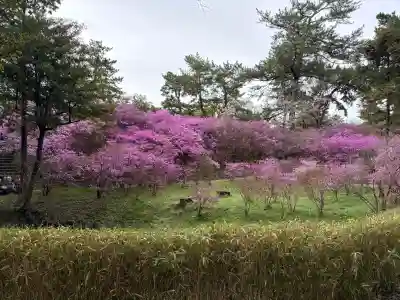 廣田神社の{uncategorized: "未分類", other: "その他", undefined: "問題あり", building: "その他建物", grave: "お墓", sacred_gate: "鳥居", guardian: "狛犬", statue: "像", buddha: "仏像", history: "歴史", nature: "自然", garden: "庭園", animal: "動物", pagoda: "塔", temizu: "手水舎", mountain_gate: "山門・神門", sanctuary: "本殿・本堂", subordinate: "末社・摂社", art: "芸術", scenery: "景色", jizo: "地蔵", ema: "絵馬", goshuin: "御朱印", omikuji: "おみくじ", items: "授与品その他", amulet: "お守り", goshuincho: "御朱印帳", eats: "食事", festival: "お祭り", votive_dance: "神楽", shichigosan: "七五三参", wedding: "結婚式", experience: "体験その他", initially: "初詣", around: "周辺", anti_infection: "感染症対策"}