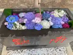 赤城神社の手水