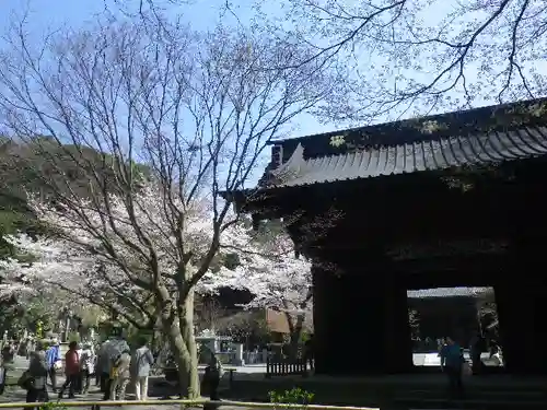 妙本寺のその他建物
