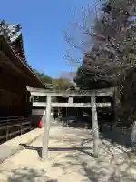 八幡宮の{uncategorized: "未分類", other: "その他", undefined: "問題あり", building: "その他建物", grave: "お墓", sacred_gate: "鳥居", guardian: "狛犬", statue: "像", buddha: "仏像", history: "歴史", nature: "自然", garden: "庭園", animal: "動物", pagoda: "塔", temizu: "手水舎", mountain_gate: "山門・神門", sanctuary: "本殿・本堂", subordinate: "末社・摂社", art: "芸術", scenery: "景色", jizo: "地蔵", ema: "絵馬", goshuin: "御朱印", omikuji: "おみくじ", items: "授与品その他", amulet: "お守り", goshuincho: "御朱印帳", eats: "食事", festival: "お祭り", votive_dance: "神楽", shichigosan: "七五三参", wedding: "結婚式", experience: "体験その他", initially: "初詣", around: "周辺", anti_infection: "感染症対策"}