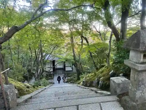 常寂光寺の{uncategorized: "未分類", other: "その他", undefined: "問題あり", building: "その他建物", grave: "お墓", sacred_gate: "鳥居", guardian: "狛犬", statue: "像", buddha: "仏像", history: "歴史", nature: "自然", garden: "庭園", animal: "動物", pagoda: "塔", temizu: "手水舎", mountain_gate: "山門・神門", sanctuary: "本殿・本堂", subordinate: "末社・摂社", art: "芸術", scenery: "景色", jizo: "地蔵", ema: "絵馬", goshuin: "御朱印", omikuji: "おみくじ", items: "授与品その他", amulet: "お守り", goshuincho: "御朱印帳", eats: "食事", festival: "お祭り", votive_dance: "神楽", shichigosan: "七五三参", wedding: "結婚式", experience: "体験その他", initially: "初詣", around: "周辺", anti_infection: "感染症対策"}