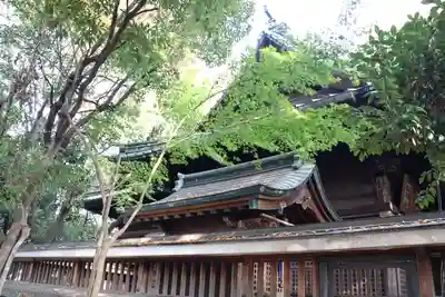 戸越八幡神社の本殿・本堂