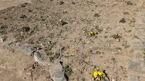 白山神社の庭園