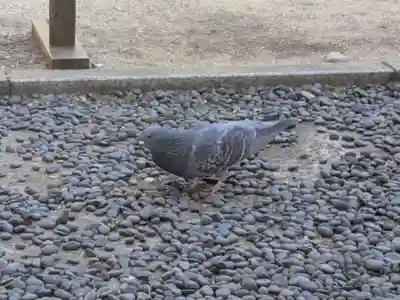 豊川稲荷東京別院(東京都)