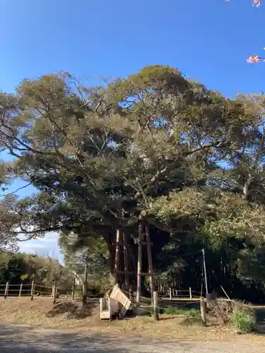 寂光寺(千葉県)