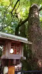 若宮神明社の建物その他