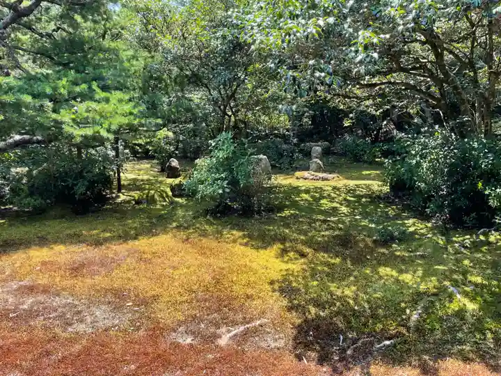地蔵院(京都府)