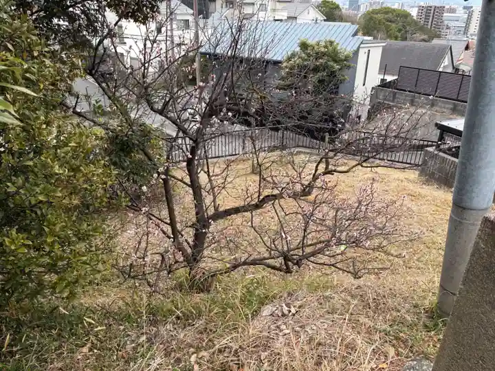 地藏院(大阪府)