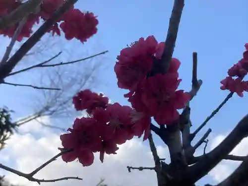 来迎寺（西御門）(神奈川県)
