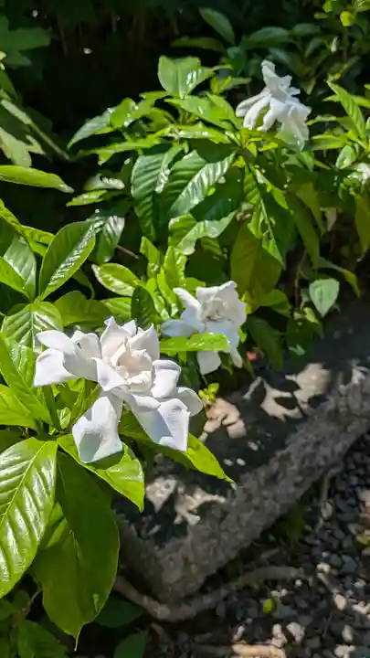 本法寺(京都府)