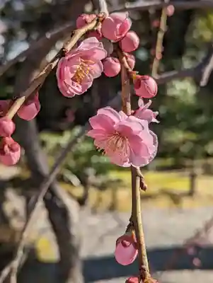 城南宮(京都府)