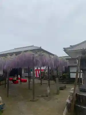 竹鼻別院(岐阜県)