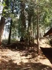 戸隠神社火之御子社(長野県)