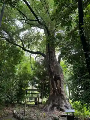 高座結御子神社（熱田神宮摂社）(愛知県)