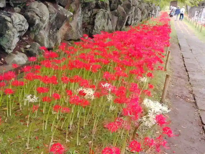 横浜 西方寺の自然