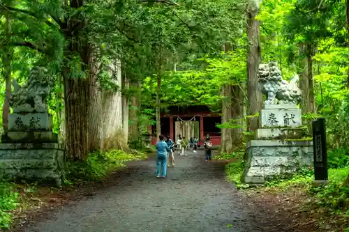 戸隠神社奥社(長野県)