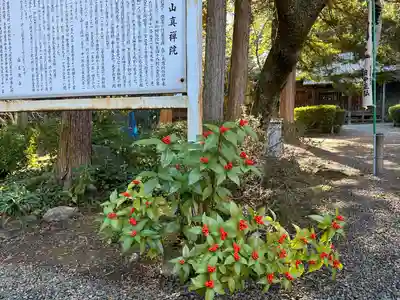 真禅院(岐阜県)