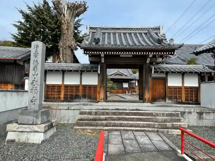 永福寺の{uncategorized: "未分類", other: "その他", undefined: "問題あり", building: "その他建物", grave: "お墓", sacred_gate: "鳥居", guardian: "狛犬", statue: "像", buddha: "仏像", history: "歴史", nature: "自然", garden: "庭園", animal: "動物", pagoda: "塔", temizu: "手水舎", mountain_gate: "山門・神門", sanctuary: "本殿・本堂", subordinate: "末社・摂社", art: "芸術", scenery: "景色", jizo: "地蔵", ema: "絵馬", goshuin: "御朱印", omikuji: "おみくじ", items: "授与品その他", amulet: "お守り", goshuincho: "御朱印帳", eats: "食事", festival: "お祭り", votive_dance: "神楽", shichigosan: "七五三参", wedding: "結婚式", experience: "体験その他", initially: "初詣", around: "周辺", anti_infection: "感染症対策"}