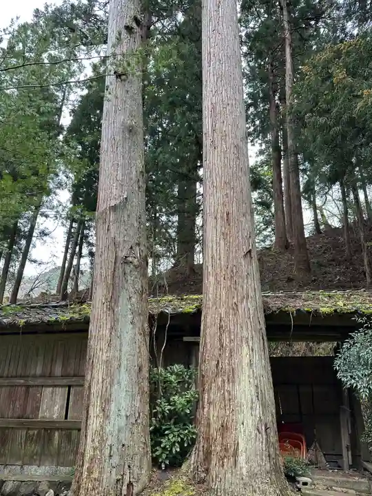 岩本神社(福井県)