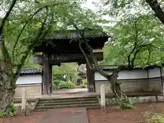 崇真寺(開運犬り切不動尊)の山門