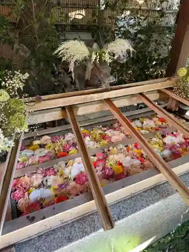 東京大神宮の{uncategorized: "未分類", other: "その他", undefined: "問題あり", building: "その他建物", grave: "お墓", sacred_gate: "鳥居", guardian: "狛犬", statue: "像", buddha: "仏像", history: "歴史", nature: "自然", garden: "庭園", animal: "動物", pagoda: "塔", temizu: "手水舎", mountain_gate: "山門・神門", sanctuary: "本殿・本堂", subordinate: "末社・摂社", art: "芸術", scenery: "景色", jizo: "地蔵", ema: "絵馬", goshuin: "御朱印", omikuji: "おみくじ", items: "授与品その他", amulet: "お守り", goshuincho: "御朱印帳", eats: "食事", festival: "お祭り", votive_dance: "神楽", shichigosan: "七五三参", wedding: "結婚式", experience: "体験その他", initially: "初詣", around: "周辺", anti_infection: "感染症対策"}