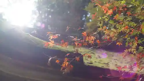 由岐神社(京都府)