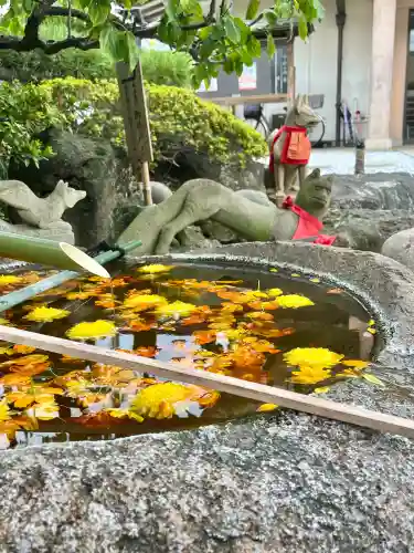 東京羽田 穴守稲荷神社の{uncategorized: "未分類", other: "その他", undefined: "問題あり", building: "その他建物", grave: "お墓", sacred_gate: "鳥居", guardian: "狛犬", statue: "像", buddha: "仏像", history: "歴史", nature: "自然", garden: "庭園", animal: "動物", pagoda: "塔", temizu: "手水舎", mountain_gate: "山門・神門", sanctuary: "本殿・本堂", subordinate: "末社・摂社", art: "芸術", scenery: "景色", jizo: "地蔵", ema: "絵馬", goshuin: "御朱印", omikuji: "おみくじ", items: "授与品その他", amulet: "お守り", goshuincho: "御朱印帳", eats: "食事", festival: "お祭り", votive_dance: "神楽", shichigosan: "七五三参", wedding: "結婚式", experience: "体験その他", initially: "初詣", around: "周辺", anti_infection: "感染症対策"}