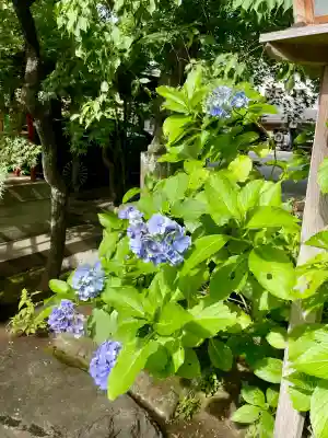 大吉稲荷(東京都)