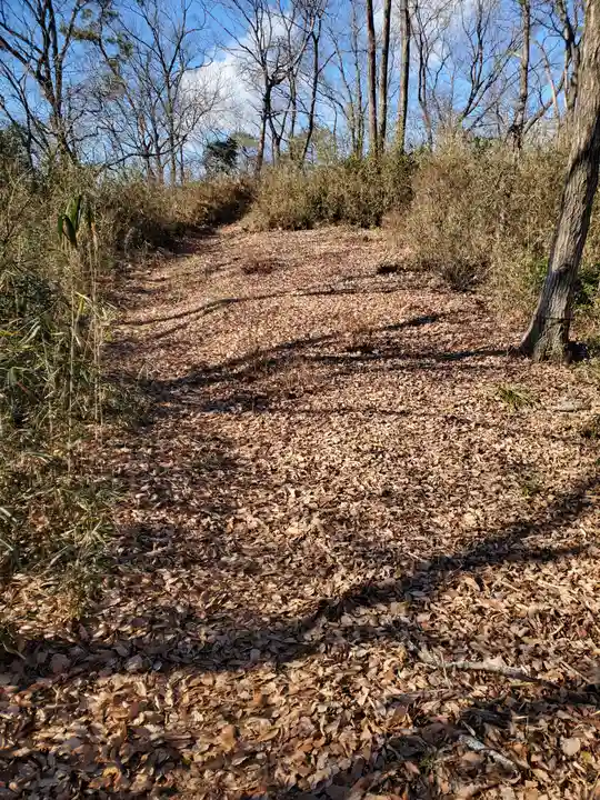 雷電神社 奥の院(助戸東山町)(栃木県)