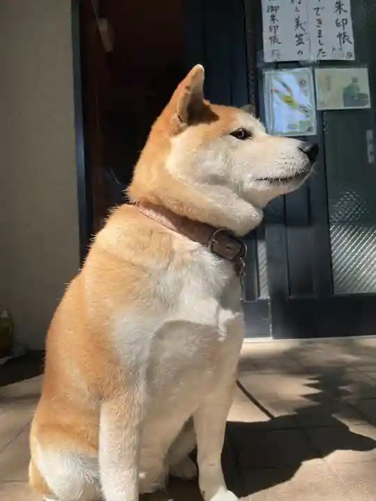 笠䅣稲荷神社(神奈川県)