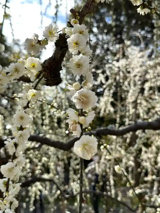 城南宮(京都府)