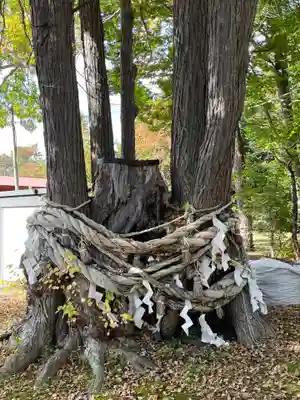 清里神社(北海道)