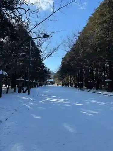 北海道神宮の景色