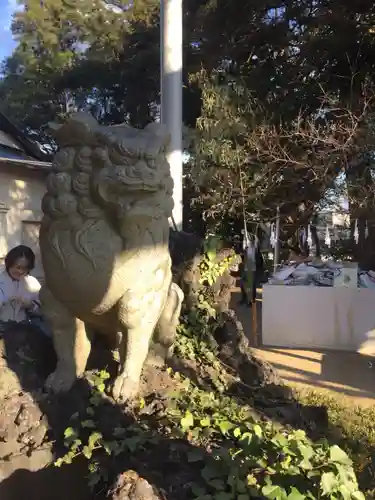 柏諏訪神社の狛犬