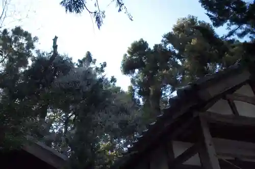 金鑚神社のその他建物