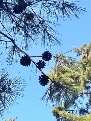 大正天皇多摩陵の自然