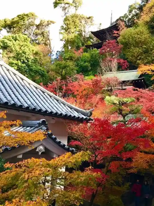 禅林寺(永観堂)(京都府)