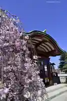千住神社(東京都)