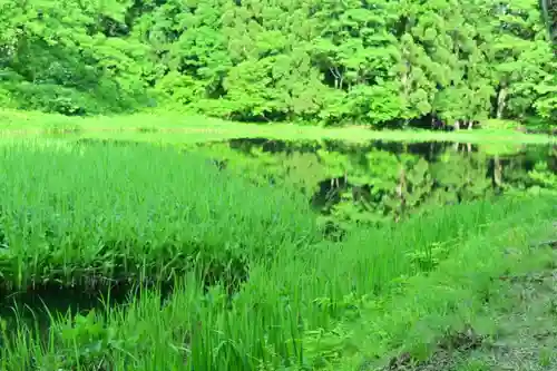 郡殿の池弁財天社(新潟県)