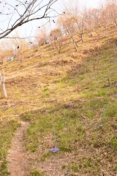 鎌大師堂(愛媛県)