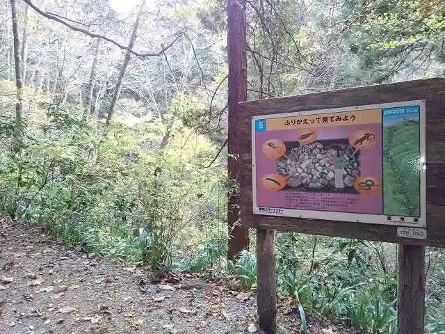 高尾山薬王院の景色