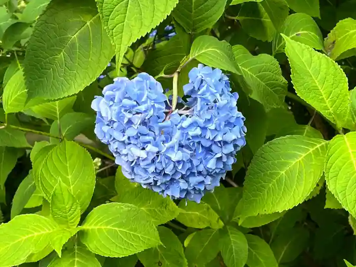 念佛院(奈良県)